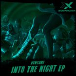 Artwork für "Into The Night"