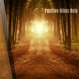 Artwork voor "Positive Vibes Only"
