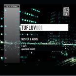 Portada para "2 Days - Analogue Groove"