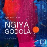 Artwork for "Ngiyagodola"