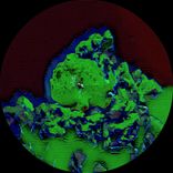 Artwork für "Trippy Sunday Tales EP"