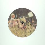 Portada para "Honey Falls"