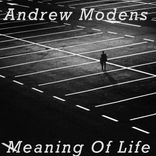 Artwork voor "Meaning Of Life"