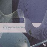 Artwork for "Flori'diaspora"