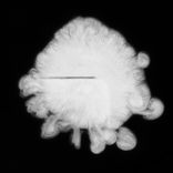 Redemption (Original Mix)