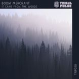 Artwork for "It Came From the Woods"