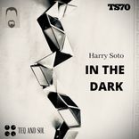 Artwork for "In The Dark"