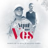 Artwork voor "Aquí Me Ves"