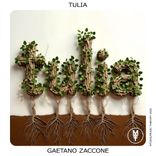 Tulia