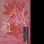 Artwork voor "Been Dreaming (About You) EP"