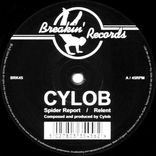 Artwork for "Spider Report"