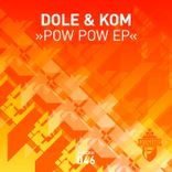 Portada para "Pow Pow"