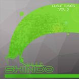 Artwork für "Flight Tunes ,vol.3"