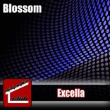Artwork voor "Blossom"