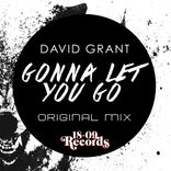 Artwork for "Gonna Let You Go"