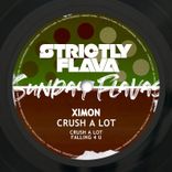 Artwork voor "Crush a Lot"