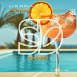 Sunny Days (Extended Mix)