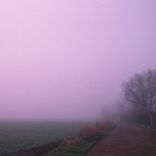 Artwork for "Shades of Violet"