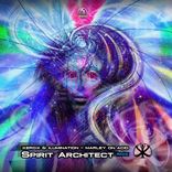 Artwork voor "Marley On Acid (Spirit Architect Remix)"