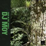 Portada para "Free In The Jungle"