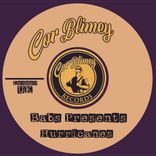 Portada para "Hurricanes"