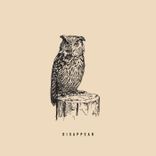 Artwork for "Disappear"