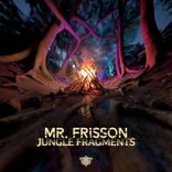 Artwork für "Jungle Fragments"