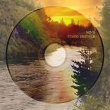 Portada para "Stood Brother"