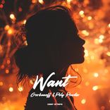 Artwork voor "Want"