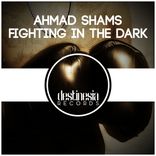 Artwork voor "Fighting In The Dark"