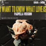 Artwork voor "I Want to Know What Love Is"