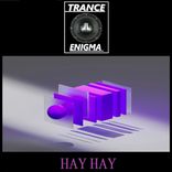 Portada para "HAY HAY"