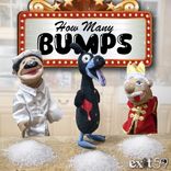 Artwork voor "How Many Bumps"