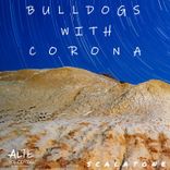 Artwork voor "Bulldogs with Corona"