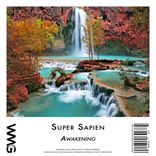 Artwork for "Awakening"