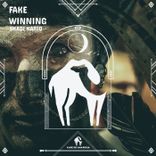 Artwork für "Fake Winning"