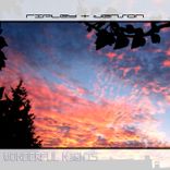 Artwork for "Wonderful Nights"