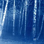 Artwork for "A Man Who Won't Speak"