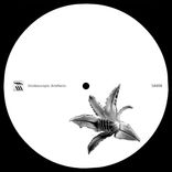 Artwork voor "Beelines for Working Bees"