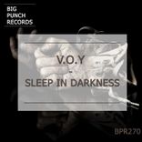 Artwork for "Sleep in Darkness"