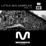 Portada para "Little Big Sampler, Vol. 12"