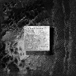 Artwork für "In Transit"