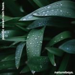 Artwork for "Pacific Ocean Rain Hues: Hawaiian Islands"