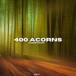 Artwork for "400 Acorns"