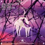 The Connection Between Our Worlds