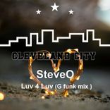 Portada para "Luv 4 Luv"