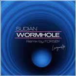 Portada para "Wormhole"