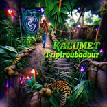 Portada para "Triptroubadour"