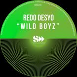 Artwork for "Wild Boyz"