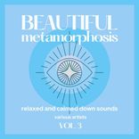 Artwork for "Beautiful Metamorphosis (Relaxed and Calmed Down Sounds), Vol. 3"